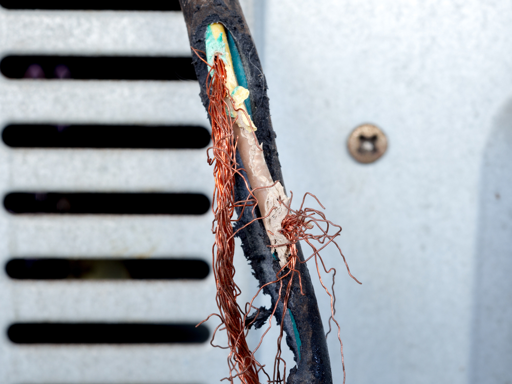 Cargo damage survey (40)